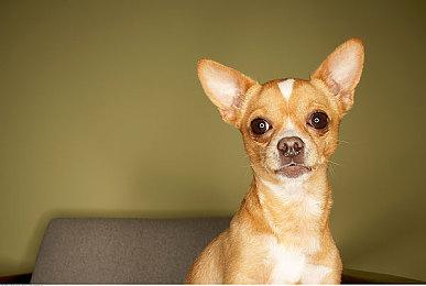 排面拉满！《黑神话：悟空》和冯骥登上央视《新闻联播》